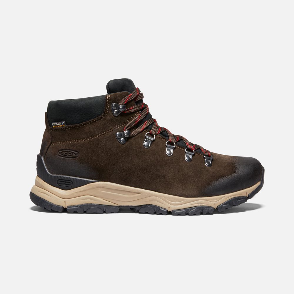 Keen Laarzen Heren Bruin - Feldberg Apx Waterproof - 31469-BDEN